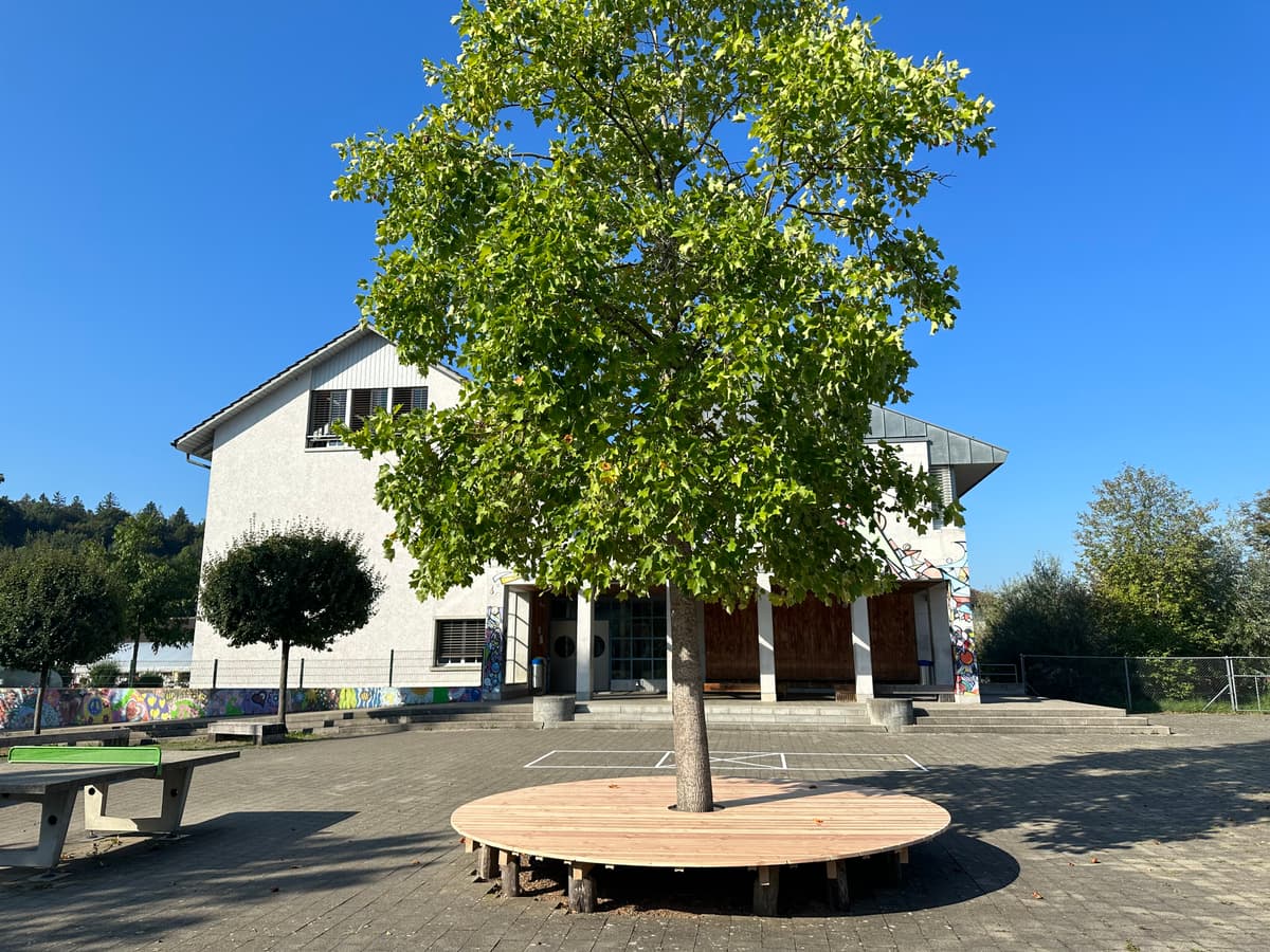 Foto 0 von 4 Sitzbankkreise Schule Flaach